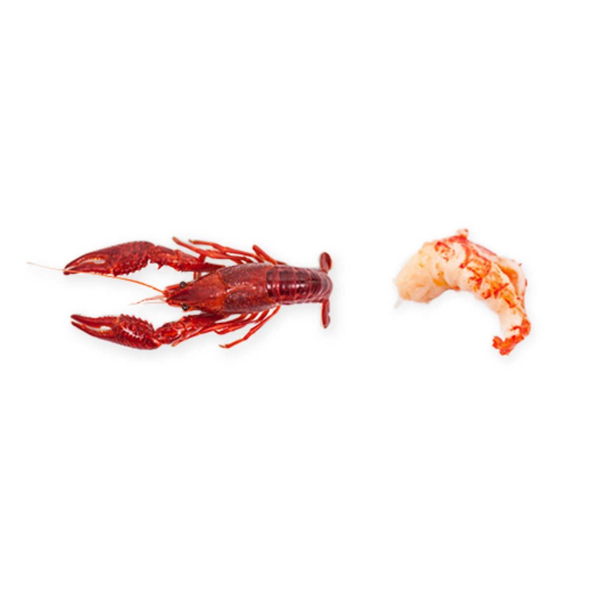 Flüsskrebs, gekocht und geschält
