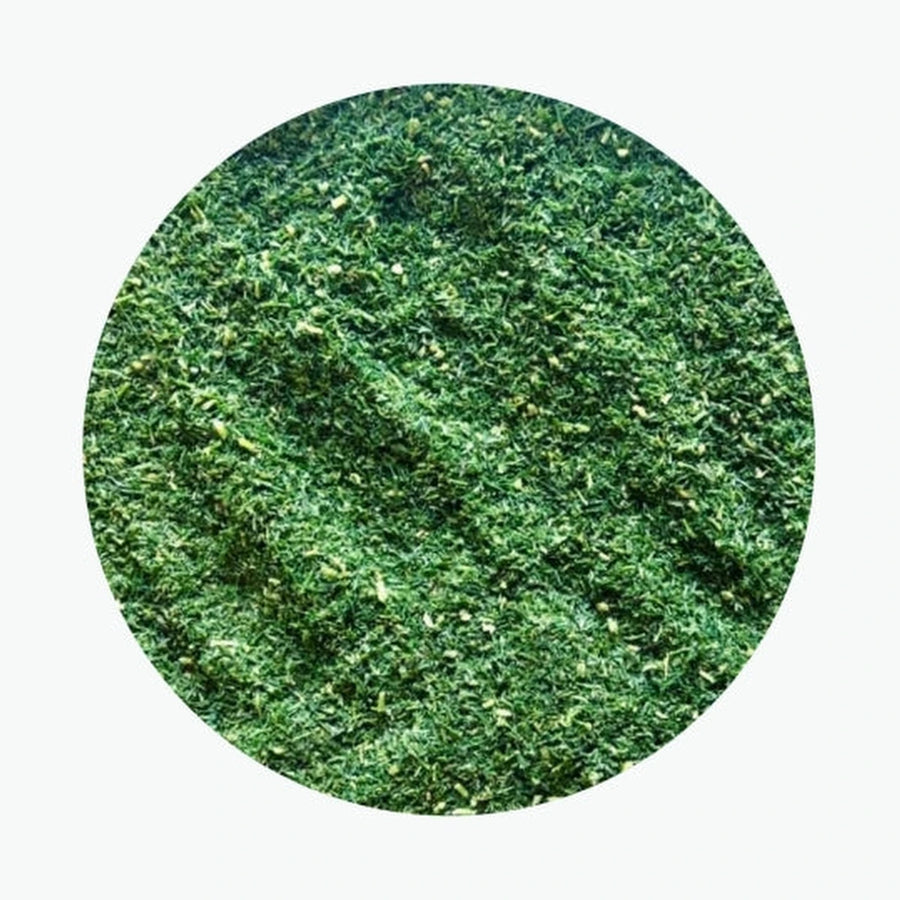 Dill, fein gehackt, tiefgefroren